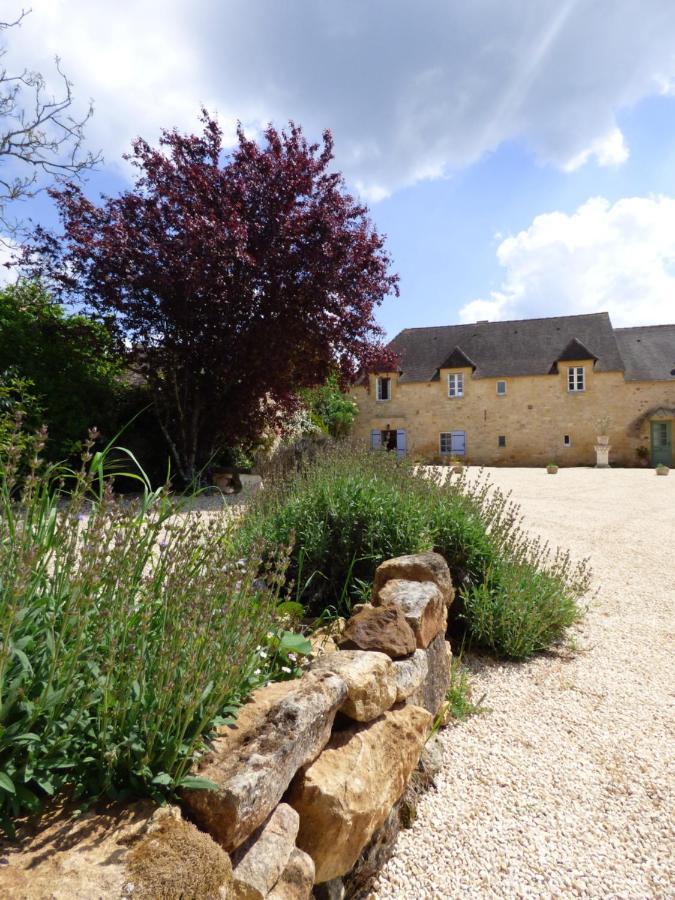 Britavit Bed and Breakfast Saint-Avit-Sénieur Εξωτερικό φωτογραφία
